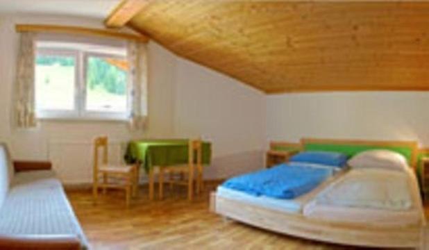 Jugendgastehaus Steiner Hostel Eben Im Pongau Ngoại thất bức ảnh